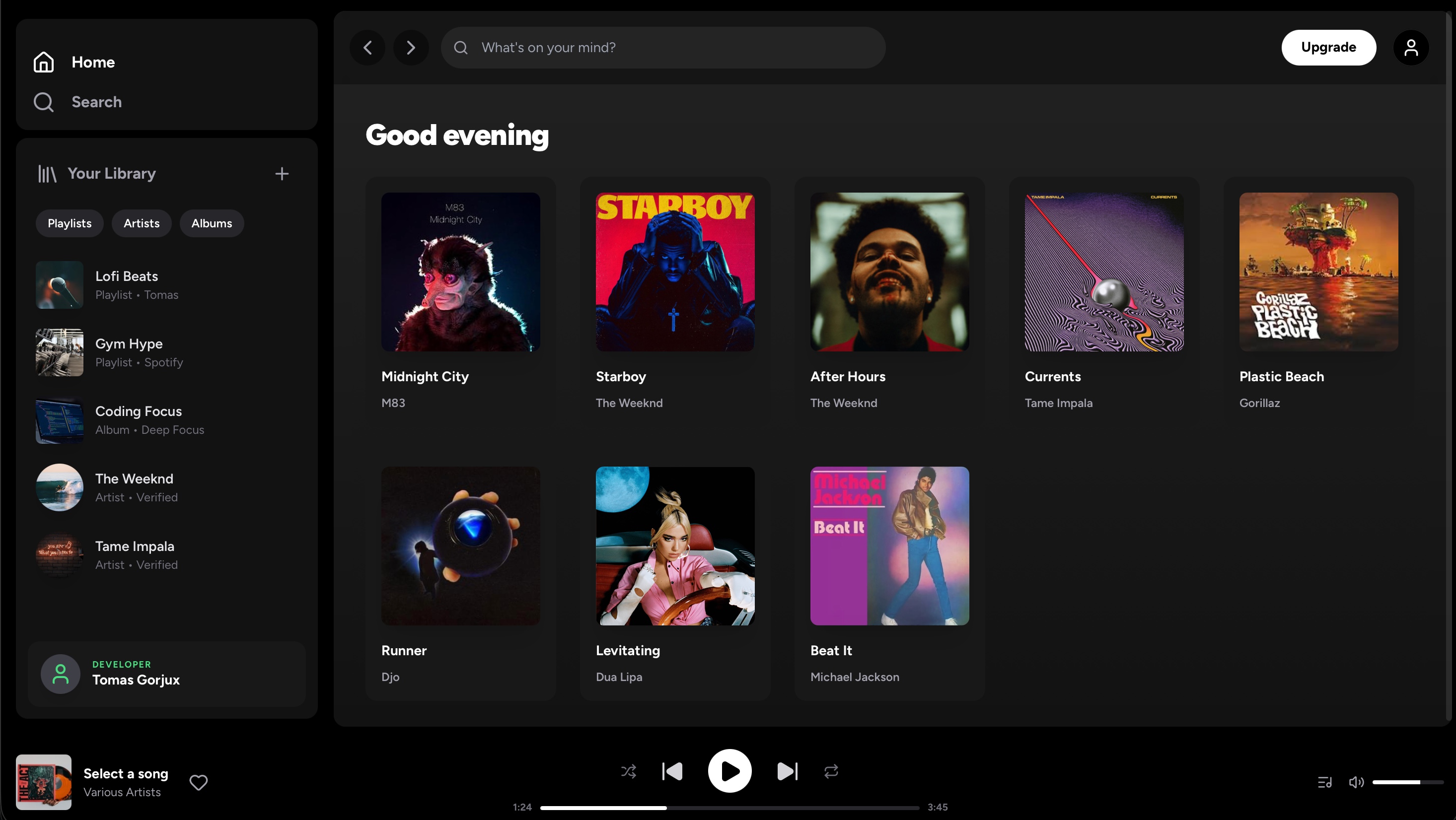 Spotify Project Preview